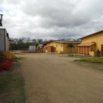 DSCN0029