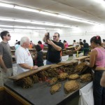 DSCN0075