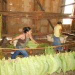 DSCN0224