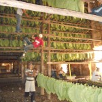 DSCN0226
