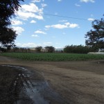 DSCN0235